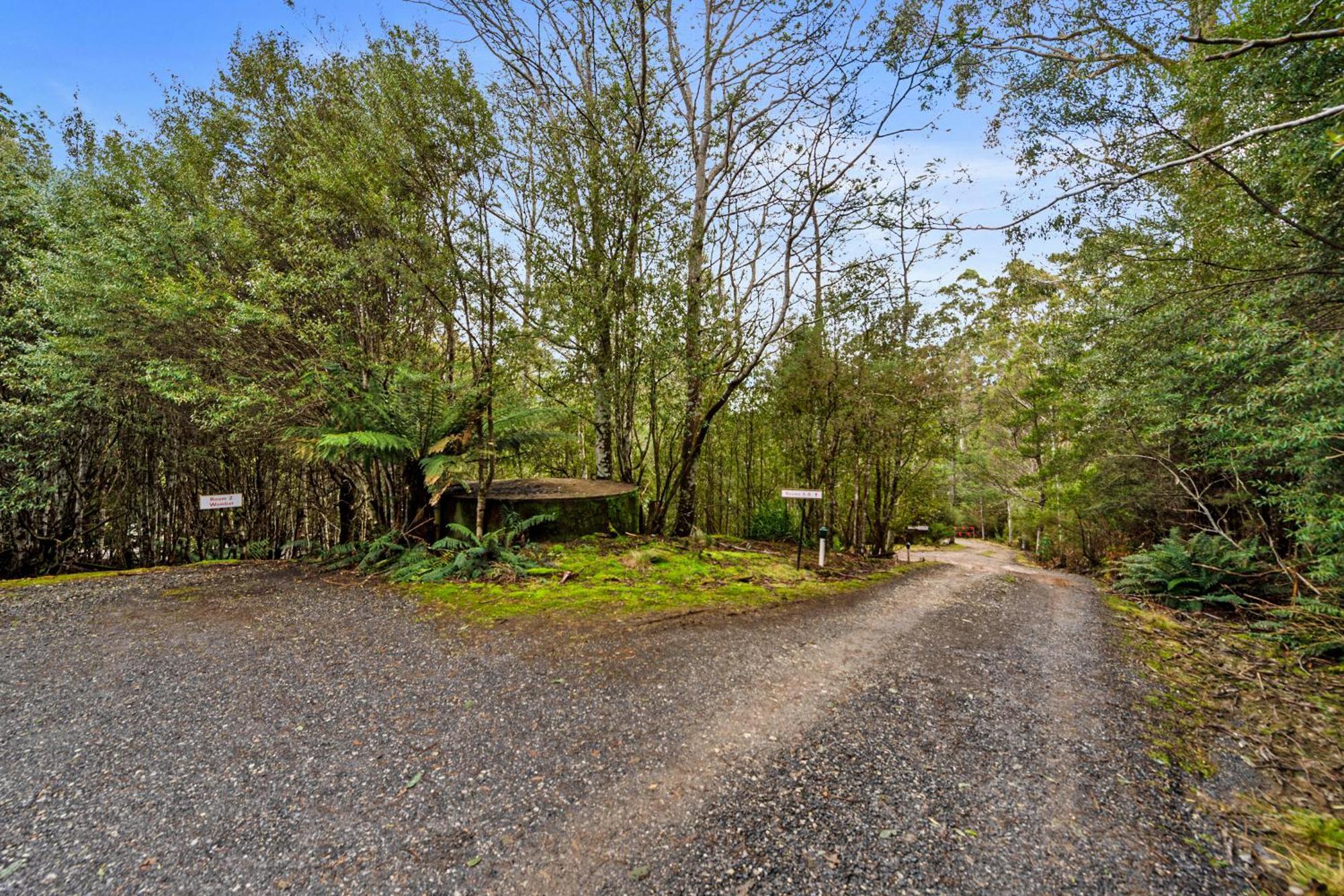 Cradle Forest Inn Moina Kültér fotó