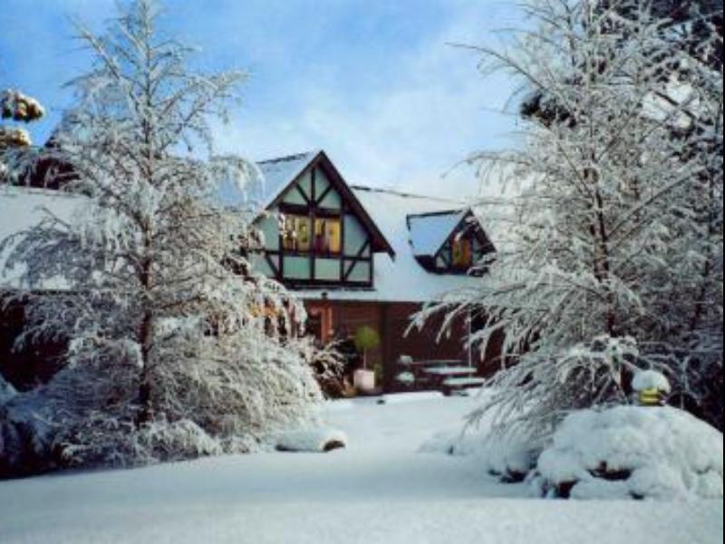 Cradle Forest Inn Moina Kültér fotó