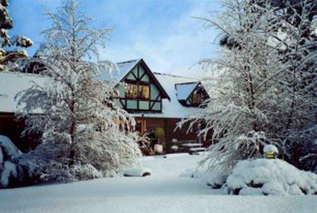 Cradle Forest Inn Moina Kültér fotó