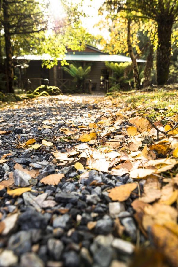 Cradle Forest Inn Moina Kültér fotó